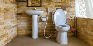 Awas, Tempat Paling Kotor Di Toilet Umum